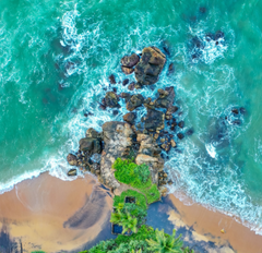 84tours.com_Explore Sri Lanka_Travel_Tourism