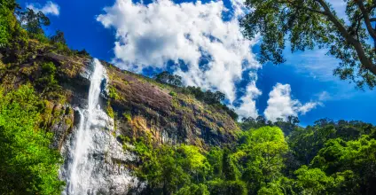 84 Tours_Explore Sri Lanka_Travel_Tourism