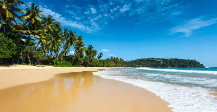 84 Tours_Explore Sri Lanka_Travel_Tourism