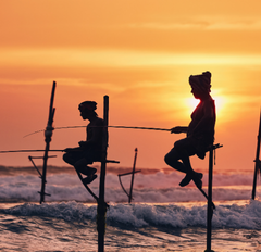 84tours.com_Explore Sri Lanka_Travel_Tourism