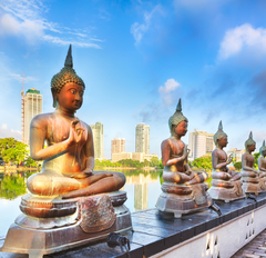 84tours.com_Explore Sri Lanka_Travel_Tourism