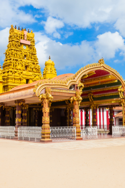 84tours.com_Explore Sri Lanka_Travel_Tourism