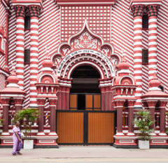 84tours.com_Explore Sri Lanka_Travel_Tourism