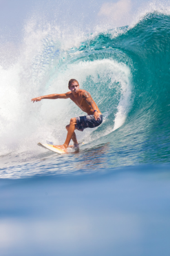 84tours.com_Explore Sri Lanka_Travel_Tourism