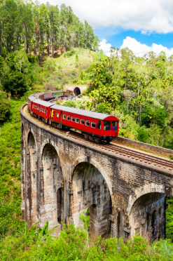 84tours.com_Explore Sri Lanka_Travel_Tourism