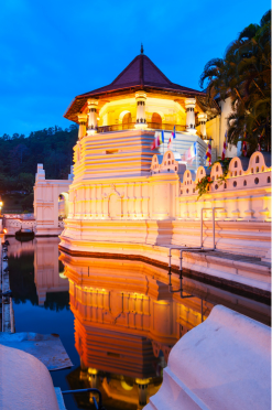 84tours.com_Explore Sri Lanka_Travel_Tourism