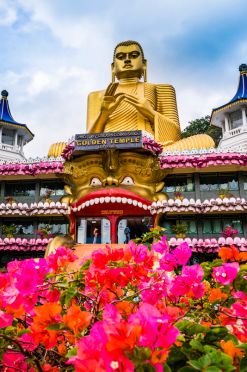 84tours.com_Explore Sri Lanka_Travel_Tourism